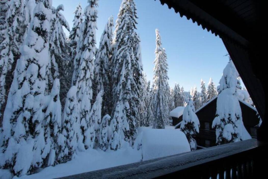 Chalet Trzinka - Triglav National Park Goreljek Exterior photo